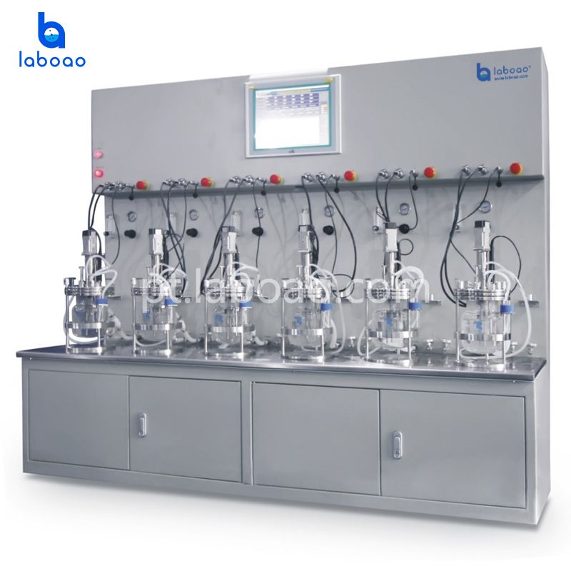 Esterilização Externa Seis-Doze Biorreator de Vidro Conjunto