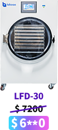 LFD-30 small freeze dryer