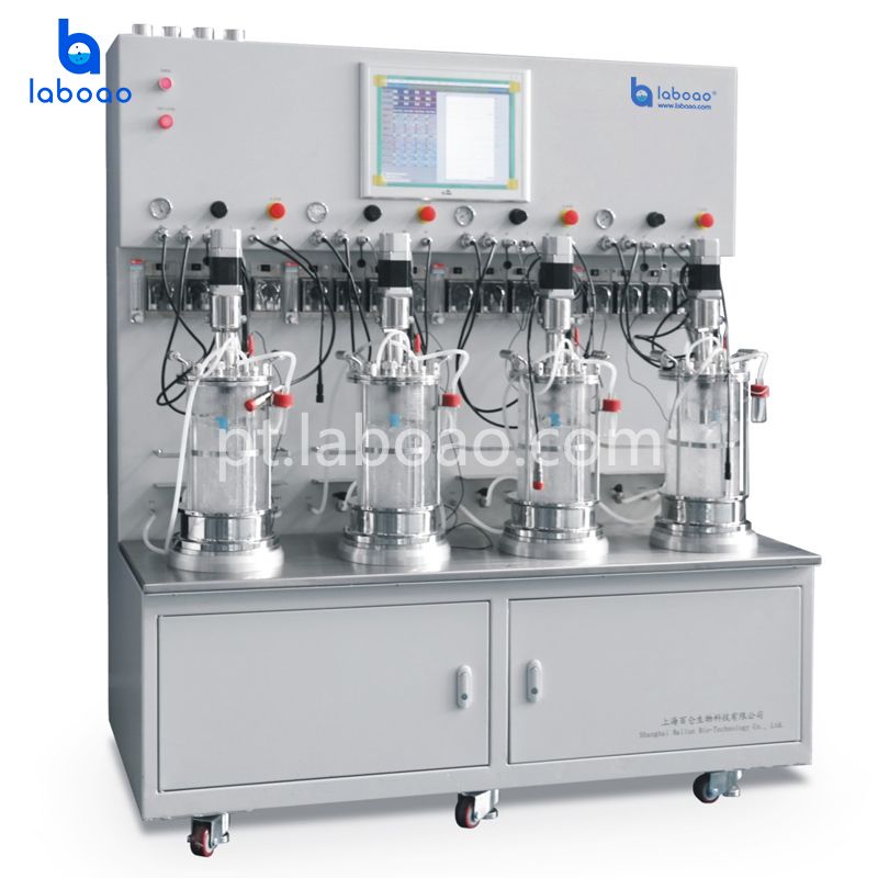 Esterilização Externa Quatro Biorreator de Vidro Conjunto