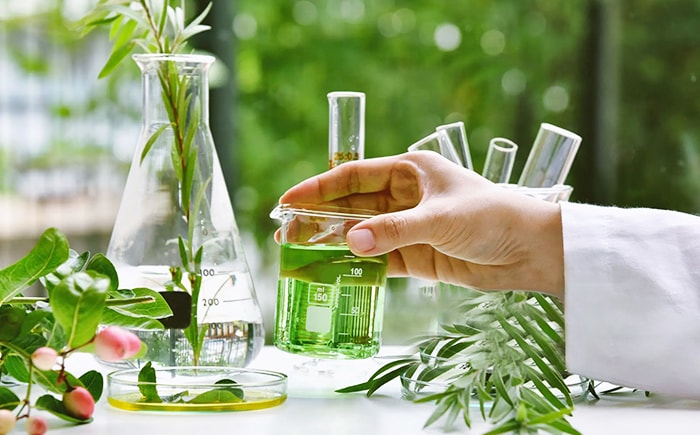 Extração E Purificação De Produtos Naturais E Ingredientes Vegetais